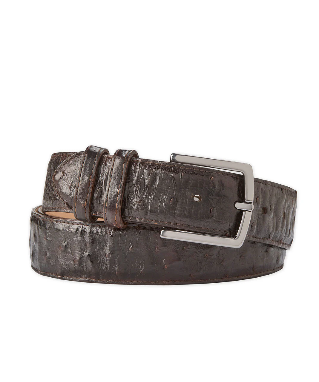 Westport Black Ostrich Belt - Image 4