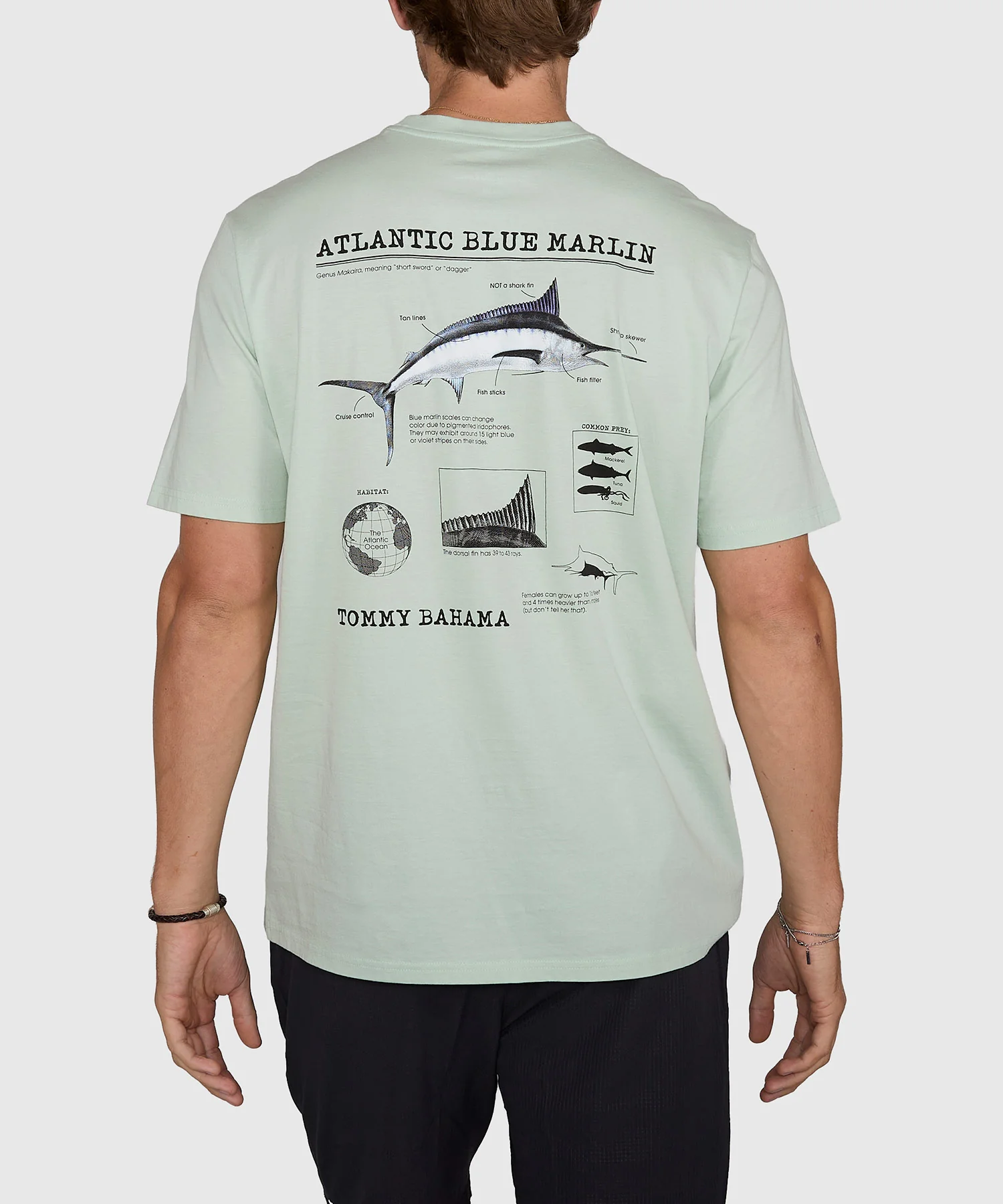 Tommy Bahama For Your Information Crew Neck T-Shirt - Image 3