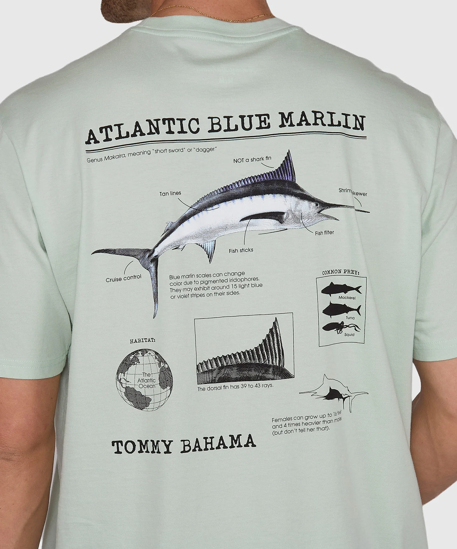 Tommy Bahama For Your Information Crew Neck T-Shirt - Image 4